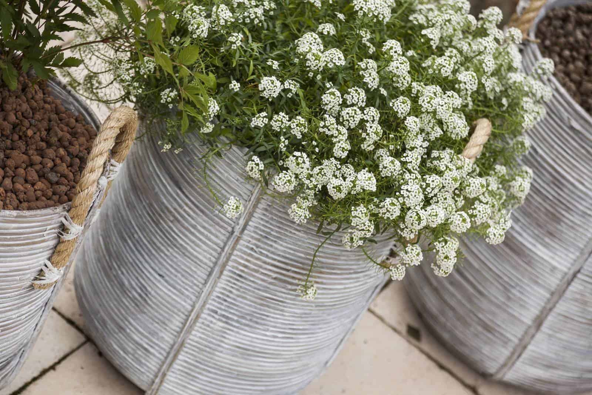 Kosz rattanowy AMIENS ⌀35cm x wys. 40cm biały przecierany