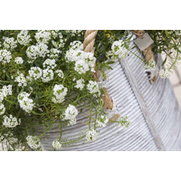 Kosz rattanowy AMIENS ⌀35cm x wys. 40cm biały przecierany