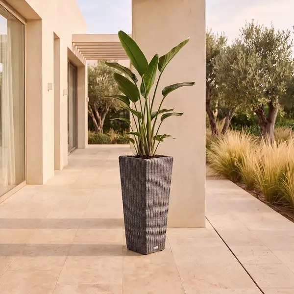 Donica ogrodowa SCALEO 100cm royal szara