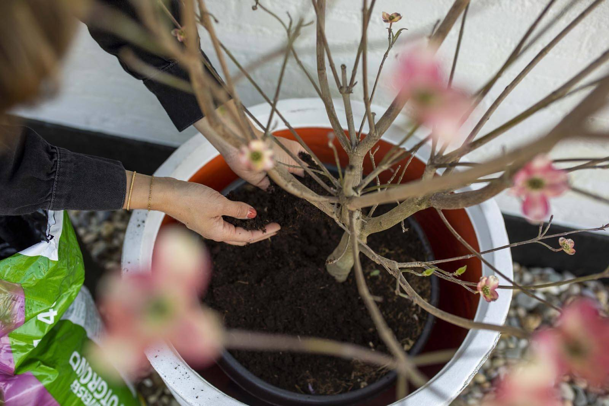 Donica ogrodowa KBLR935 53cm