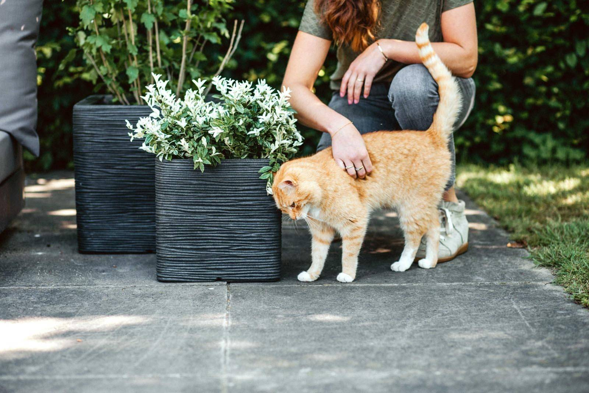 Donica ogrodowa KRWI782 47cm