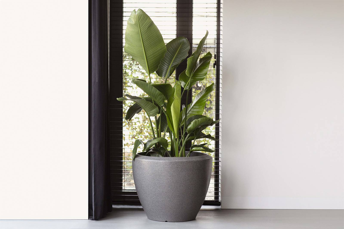 Donica ogrodowa NATS8034 60cm