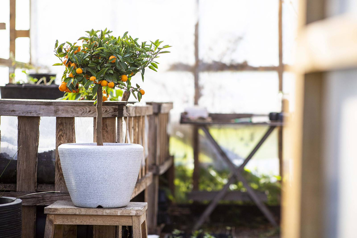 Donica ogrodowa NATS8052 60cm