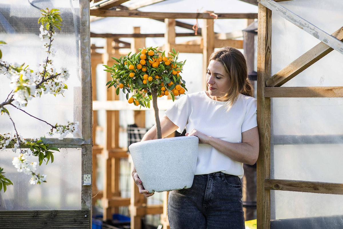 Donica ogrodowa NATS8084 56cm