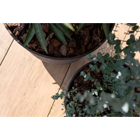 Donica LIMESTONE 20300-02 25 cm corten