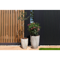 Donica OYSTER 04100-05 55 cm