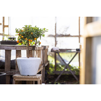 Donica ogrodowa NIVS8034 60cm