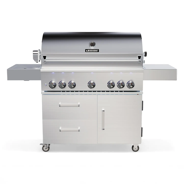 Grill ogrodowy gazowy VESUVIUS PRO 5-palnikowy srebrny
