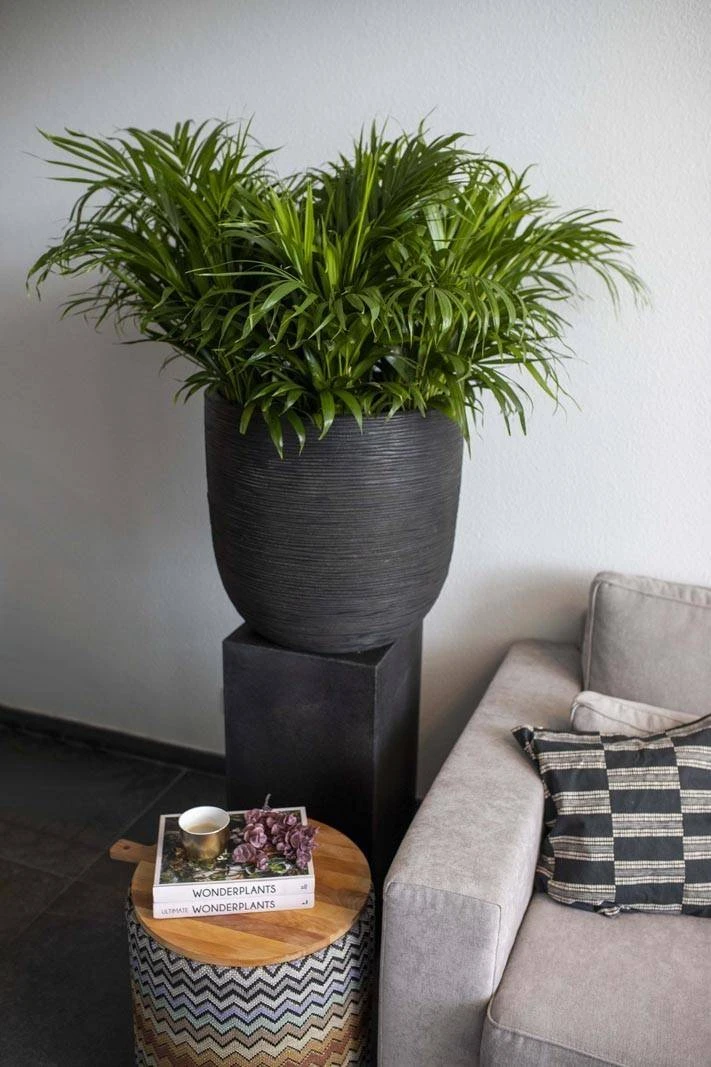 Donica ogrodowa KBLR782 47cm