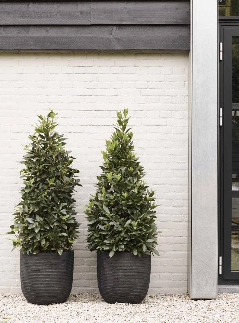 Donica ogrodowa KBLR1132 85cm