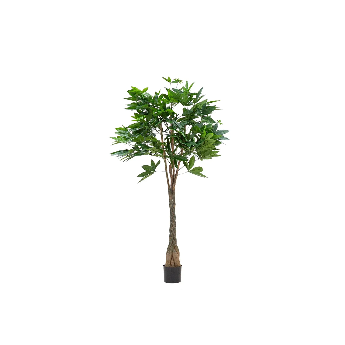 Sztuczna roślina PACHIRA 120cm (1)