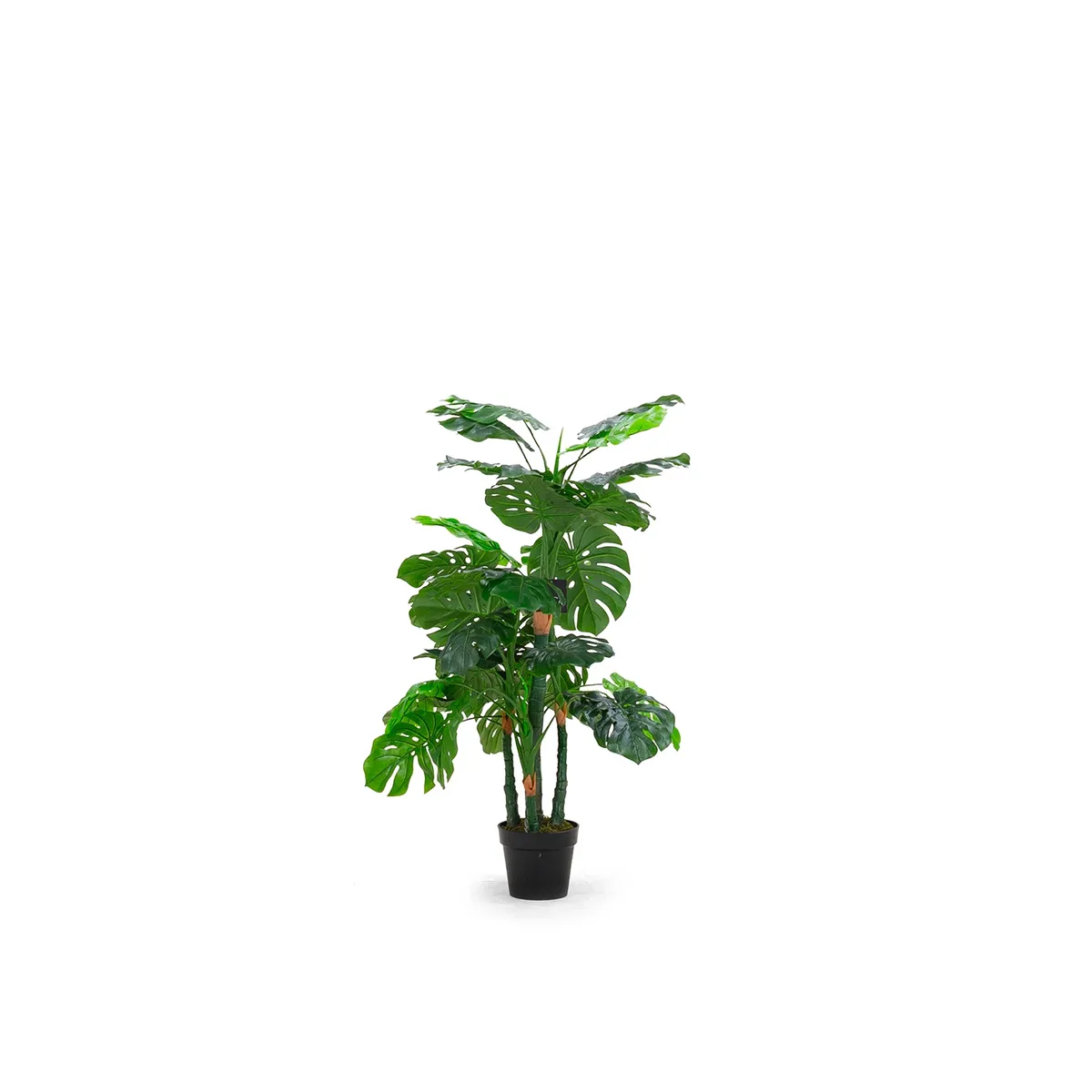 Sztuczna roślina PACHIRA 150cm (1)