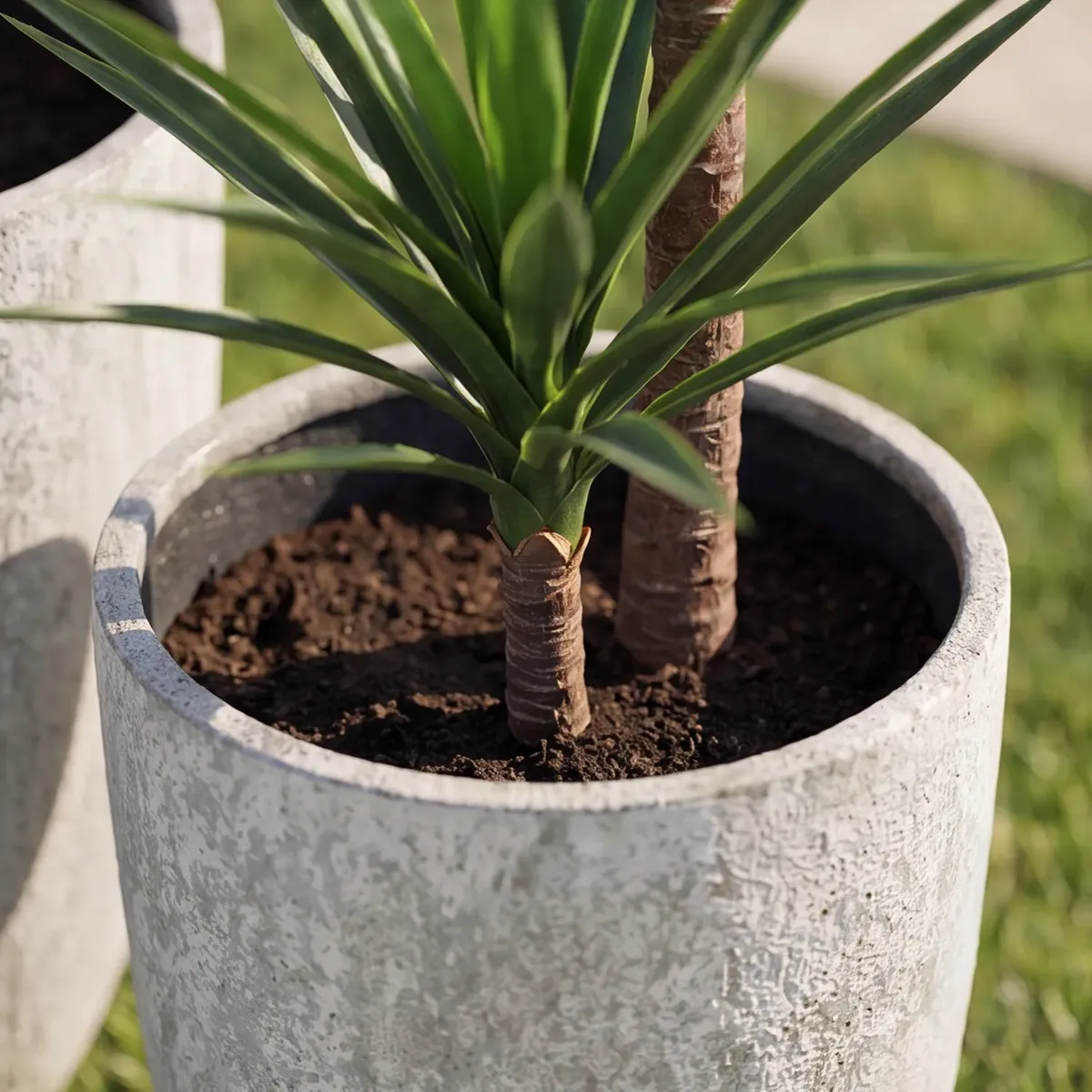 Sztuczna roślina YUCCA 160cm