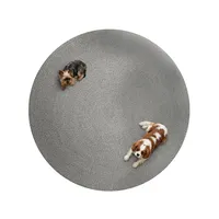 Dywan zewnętrzny Paros ø150cm jasnoszary