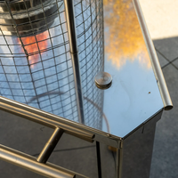 Promiennik gazowy BAULA + zestaw przyłączeniowy 1881 OUTLET