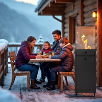 Promiennik gazowy ELDFEL antracyt