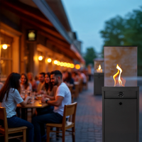 Promiennik gazowy ELDFEL antracyt