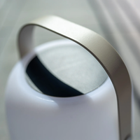 Zestaw lamp ogrodowych Charlie Antracyt 1842 OUTLET