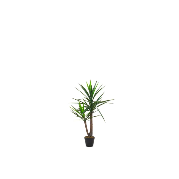 Sztuczna roślina YUCCA 160cm (2)