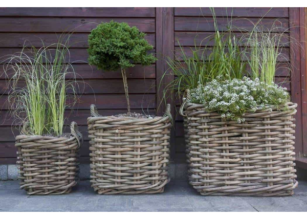 Donica ogrodowa prostokątna – wyrazisty dodatek do ogrodu i na balkon