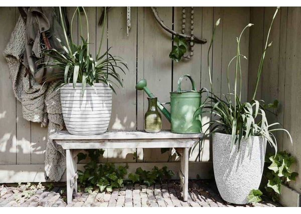 Doniczki na taras – stylowe dekoracje do ogrodu