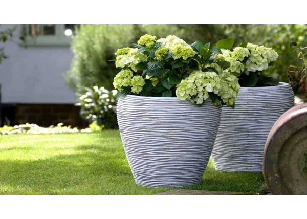 Doniczki zewnętrzne – must have w ogrodzie