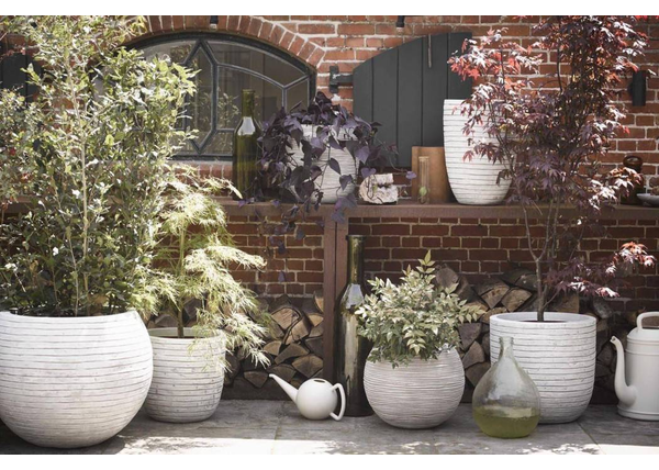 Top 5 Donic na Taras - Jaką Donicę Ogrodową Wybrać?