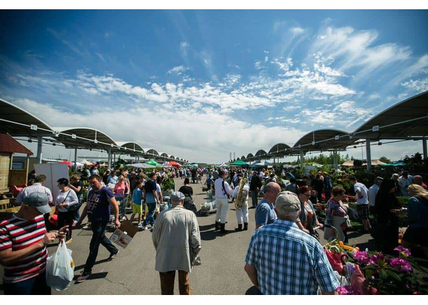 Wiosna w ogrodzie 2018 - Gdańsk