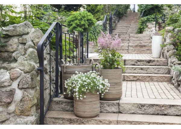 Wybór Donic do Ogrodu - Jak Udekorować Ogród i Taras