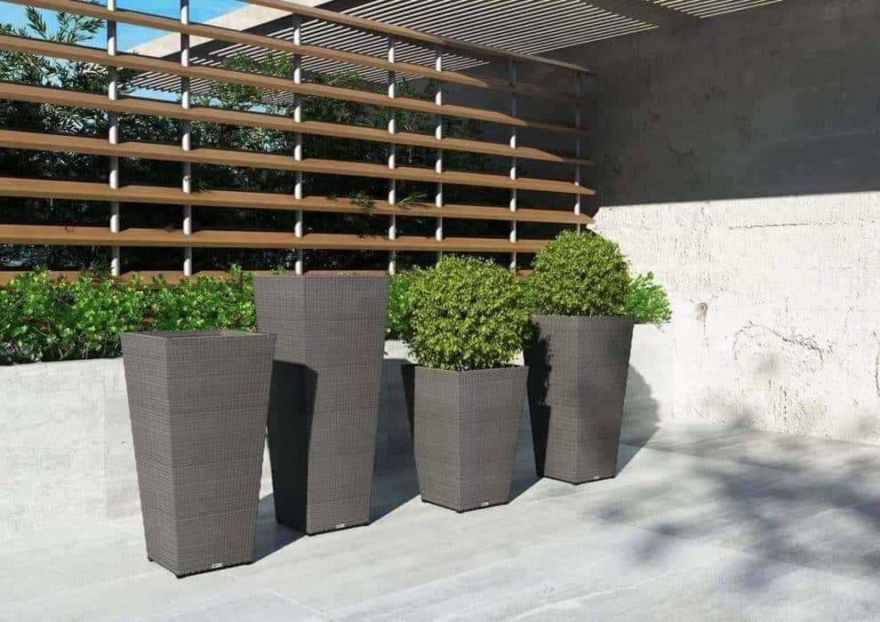 Donica prostokątna na taras – znajdź stylową dekorację do ogrodu!