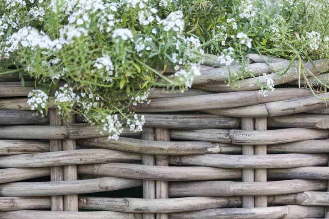 Donica prostokątna na taras – znajdź stylową dekorację do ogrodu!