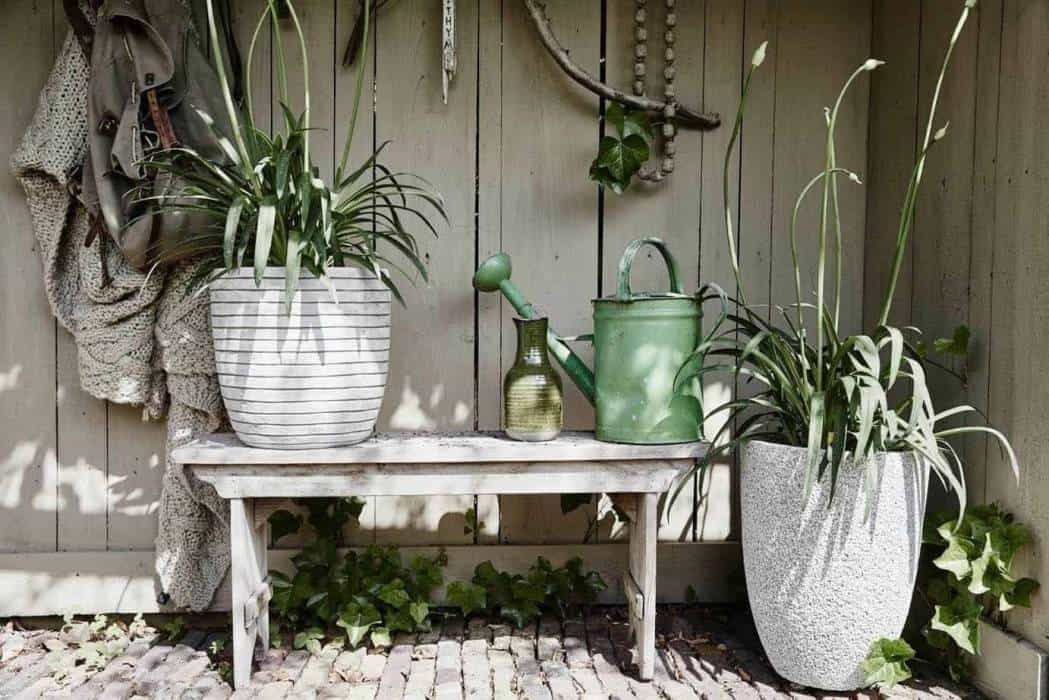 Doniczki na taras – stylowe dekoracje do ogrodu