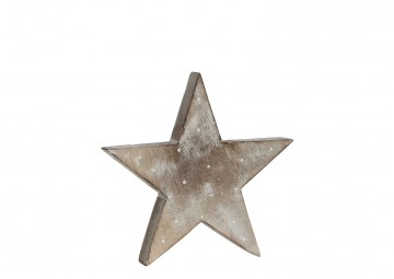 Poprzednie kolekcje: Gwiazda dekoracyjna biała