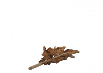 Poprzednie kolekcje: Misa drewniana liść
