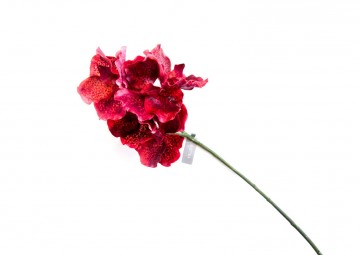 Orchidea czerwona 62cm